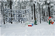Snow Covered Trees with Ornamental Hanging Which Reads, 