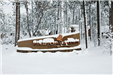Pinetop-Lakeside Sign Covered with Snow