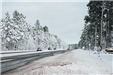 Vehicles Driving on Snowy Highway, Snow-Covered Trees on Either Side