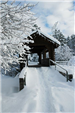 Looking Across a Snowy Tunnel Bridge