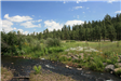 Creek with Green Brush and Trees in Background