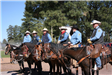 Uniformed Law Enforcement on Horseback in a Line