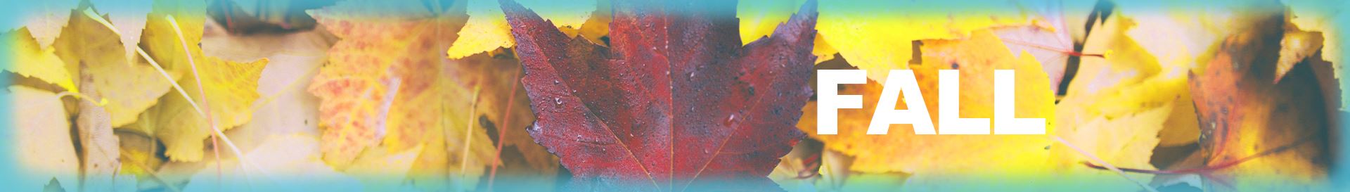 PL Web Seasons_Fall2