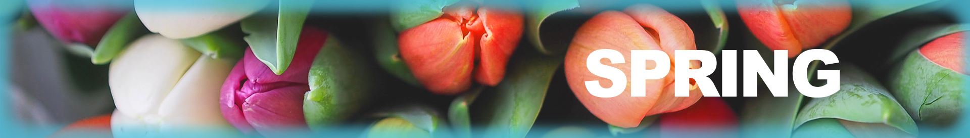 PL Web Seasons_Spring2