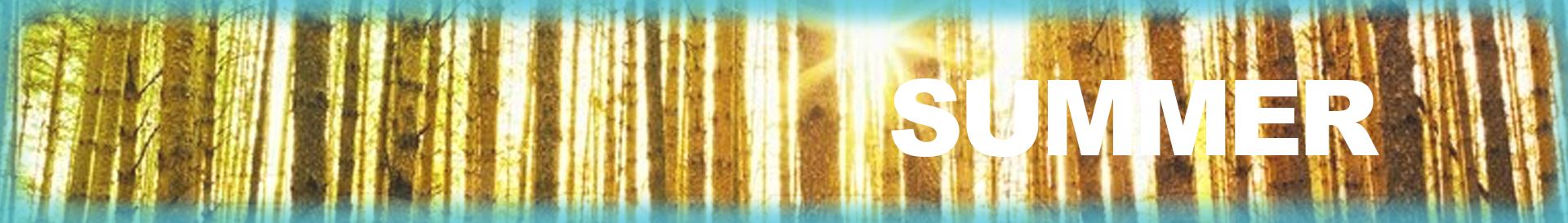 PL Web Seasons_Summer2