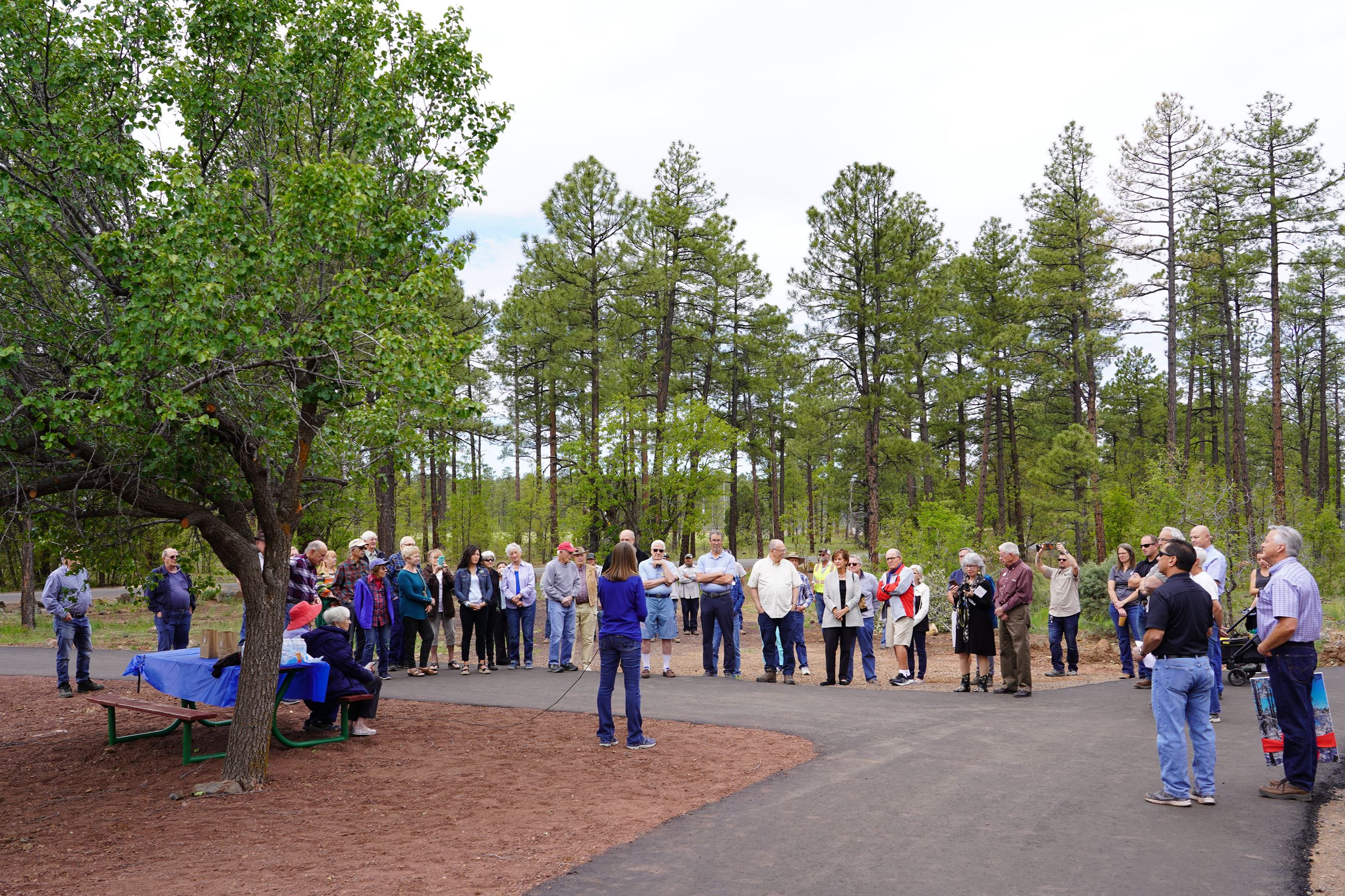 Woodland Park DSC00566