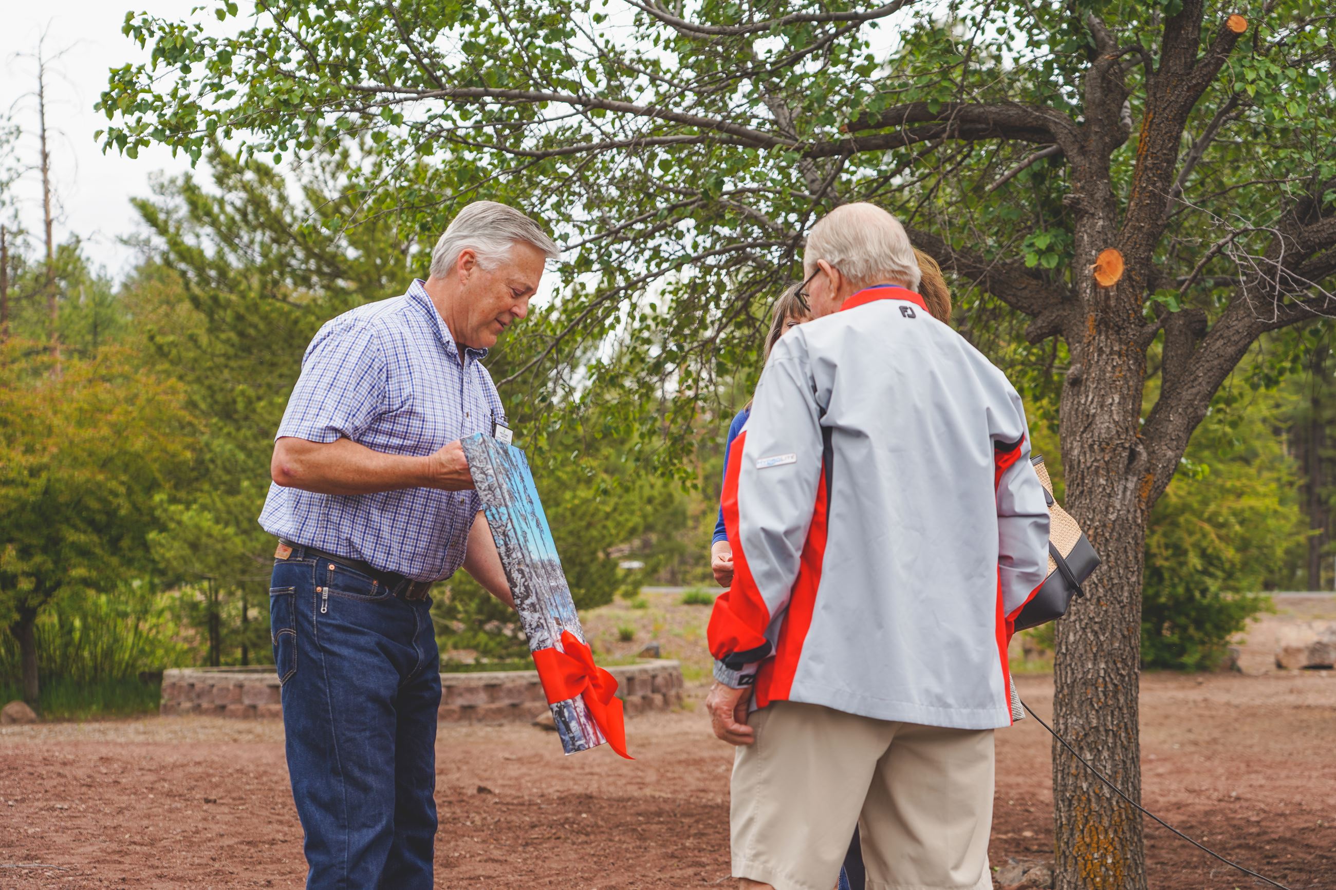 Woodland Park DSC00569