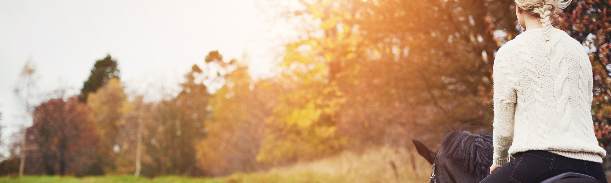 Woman on Horseback in Nature