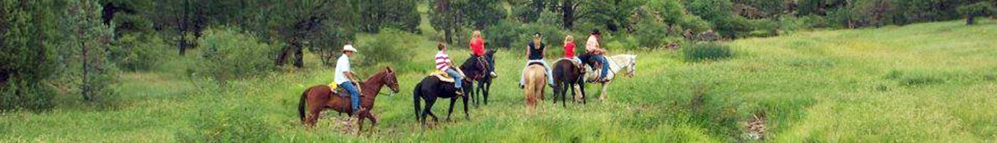 Group of People Riding Horses in Nature