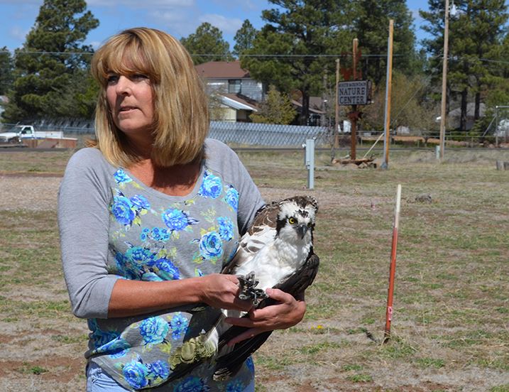 Woman Holding an Osprey