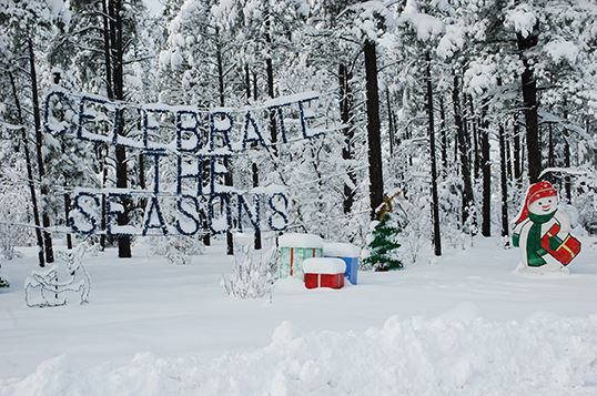 Snow Covered Trees with Ornamental Hanging Which Reads, "Celebrate the Seasons"
