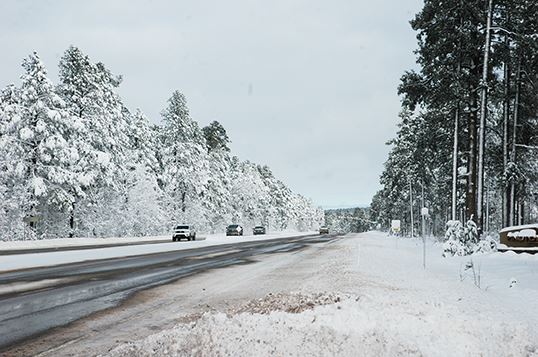Vehicles Driving on Snowy Highway, Snow-Covered Trees on Either Side
