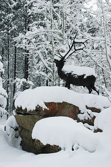 Statue of an Elk Covered in Snow, Surrounded by Trees
