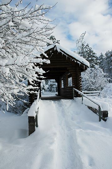 Looking Across a Snowy Tunnel Bridge