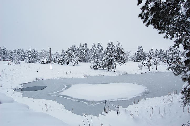 Looking Across a Frozen Lake, Trees in Background