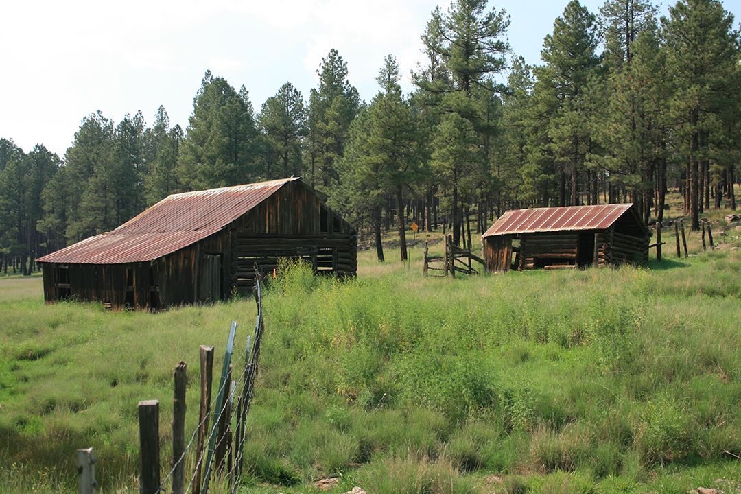 Barbed Wire Fence with Two Sheds and Trees in Background