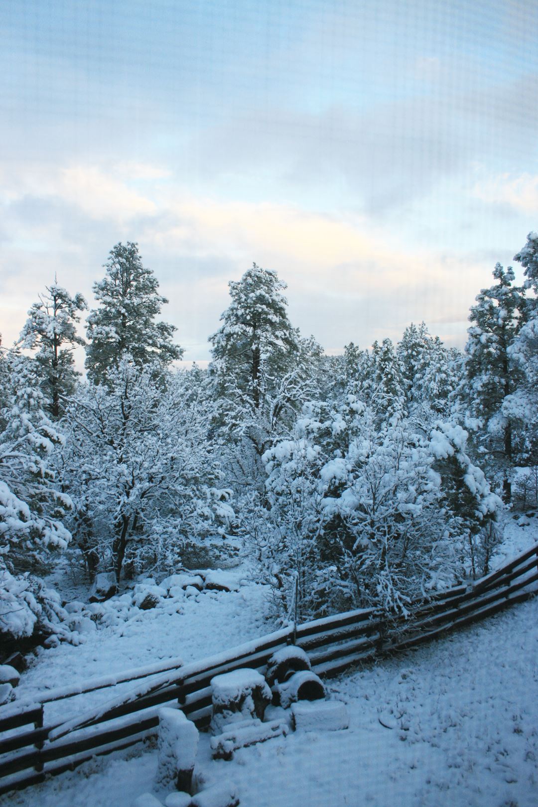 Small Bridge with Pond, Trees, and Small Shed in Background