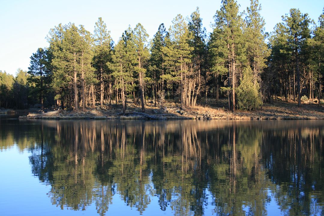 Rocky Lake Shore with Trees in Background Under Blue Sky