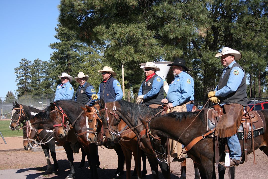 Uniformed Law Enforcement on Horseback in a Line