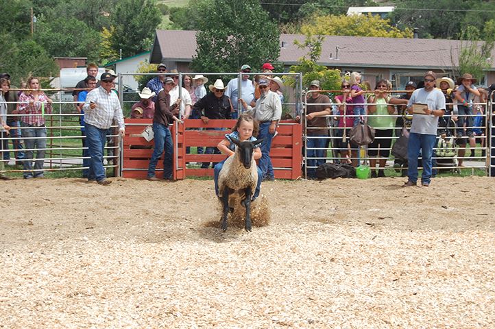 Young Girl Riding a Sheep in Rodeo Ring