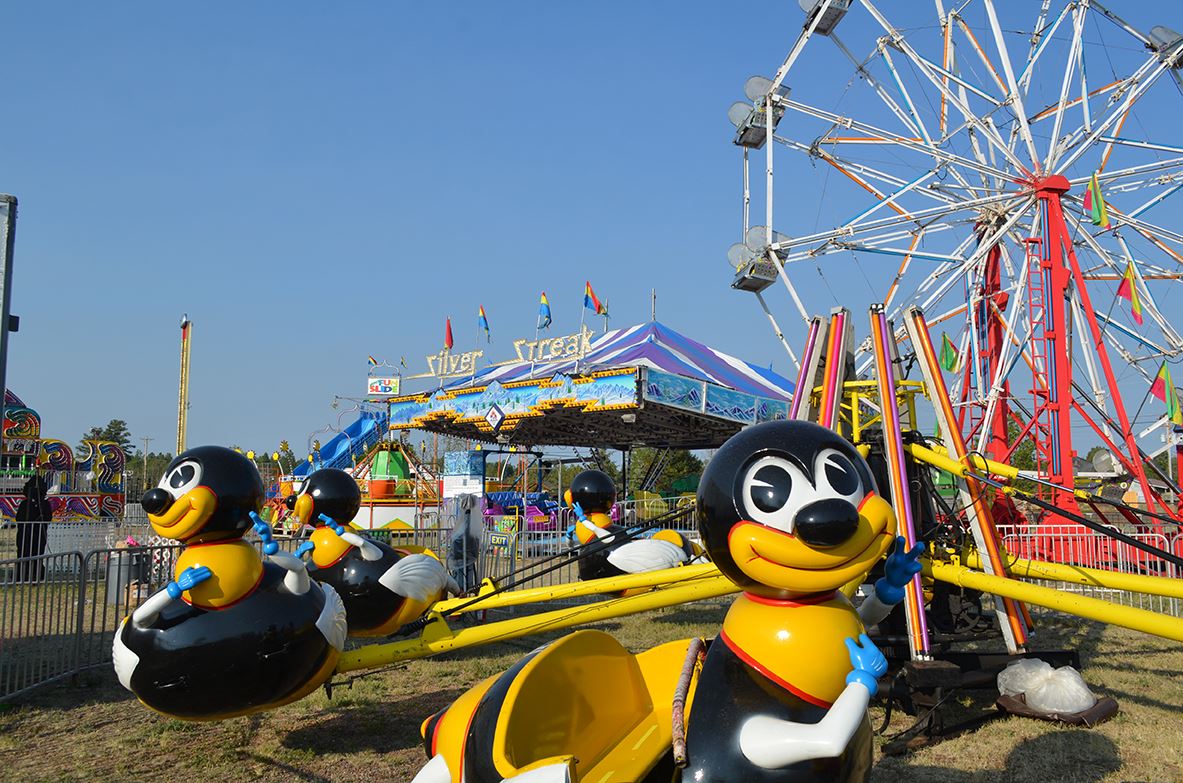 Variety of Carnival Rides Under a Blue Sky