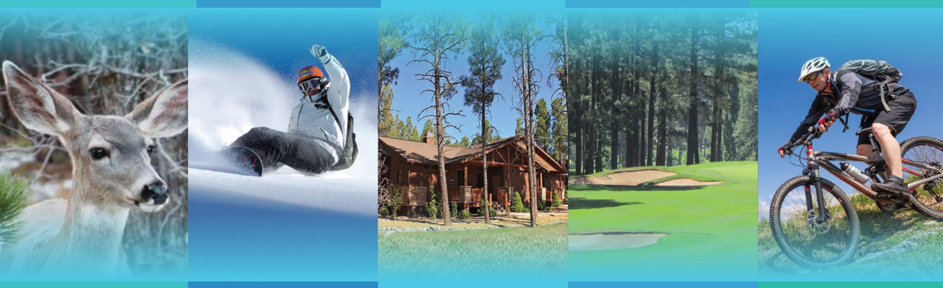 Pinetop Lakeside Seasons